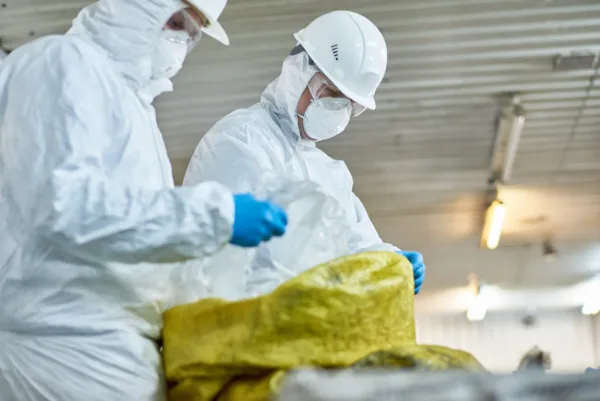 Workers Sorting Plastic on Trash Recycling Plant