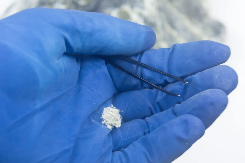 Mineral asbestos lies on the palm in a glove.