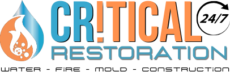 Critical Restoration logo